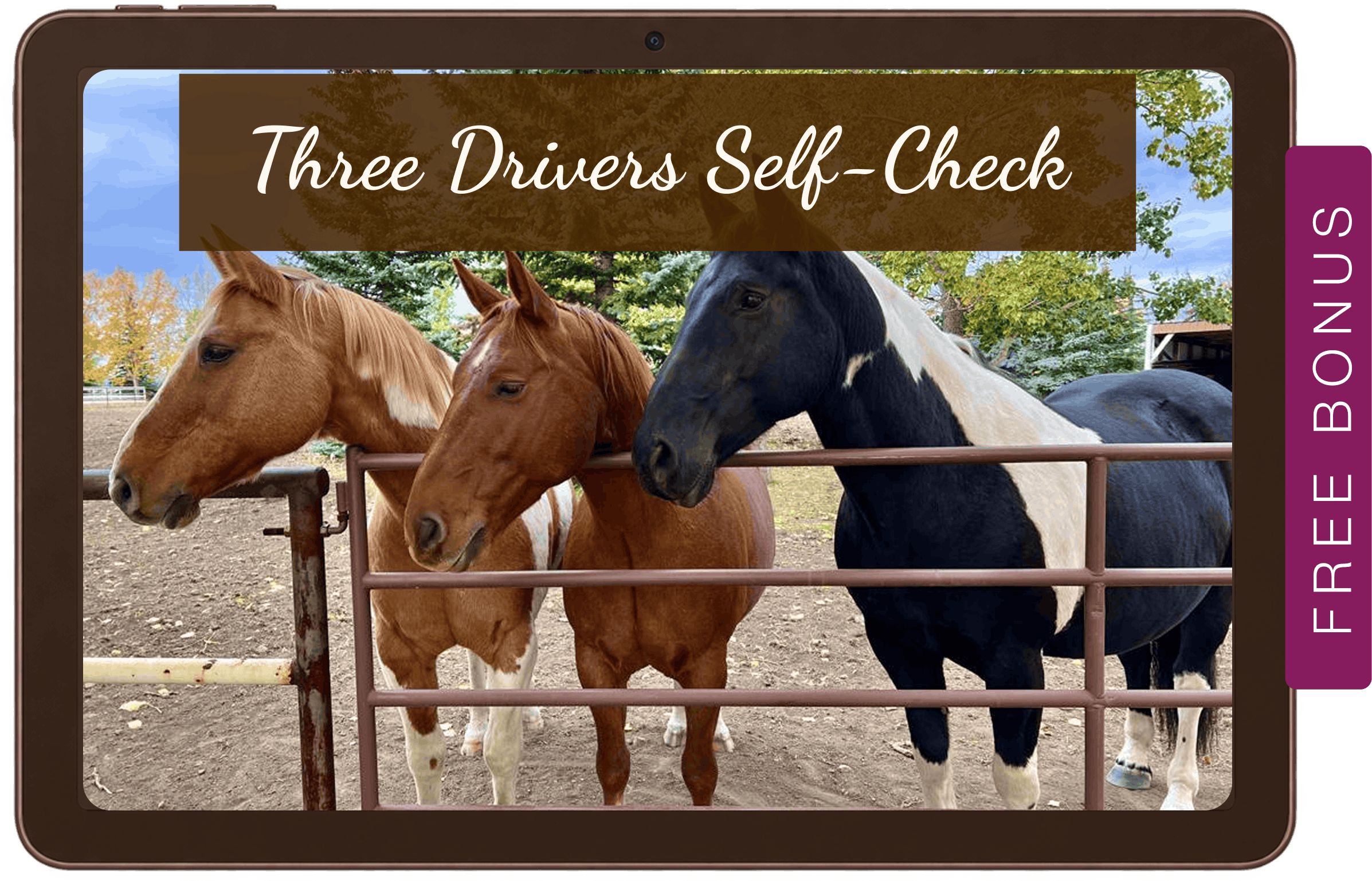 Three Drivers Self-Check guide on a tablet